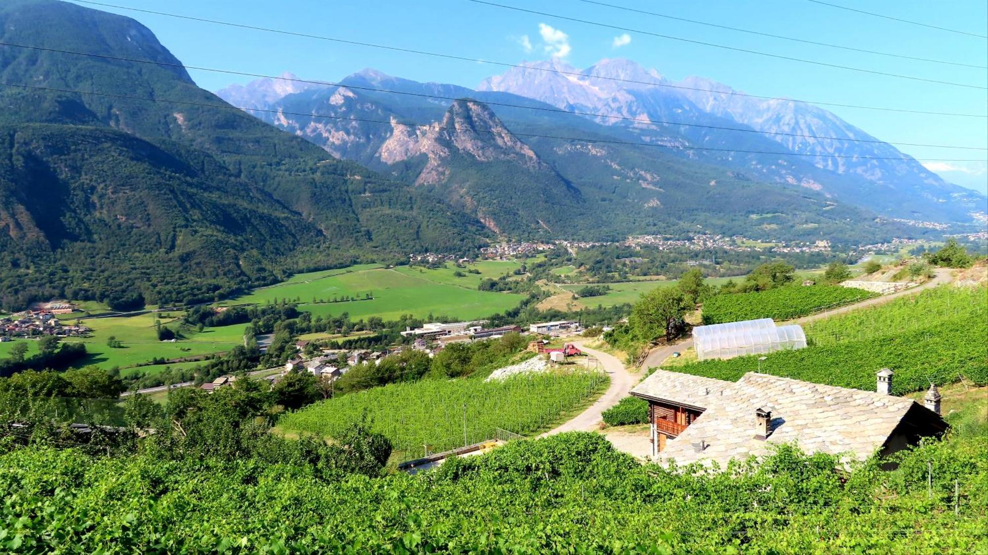 La Vrille - Chambres D'Hotes Verrayes Екстер'єр фото