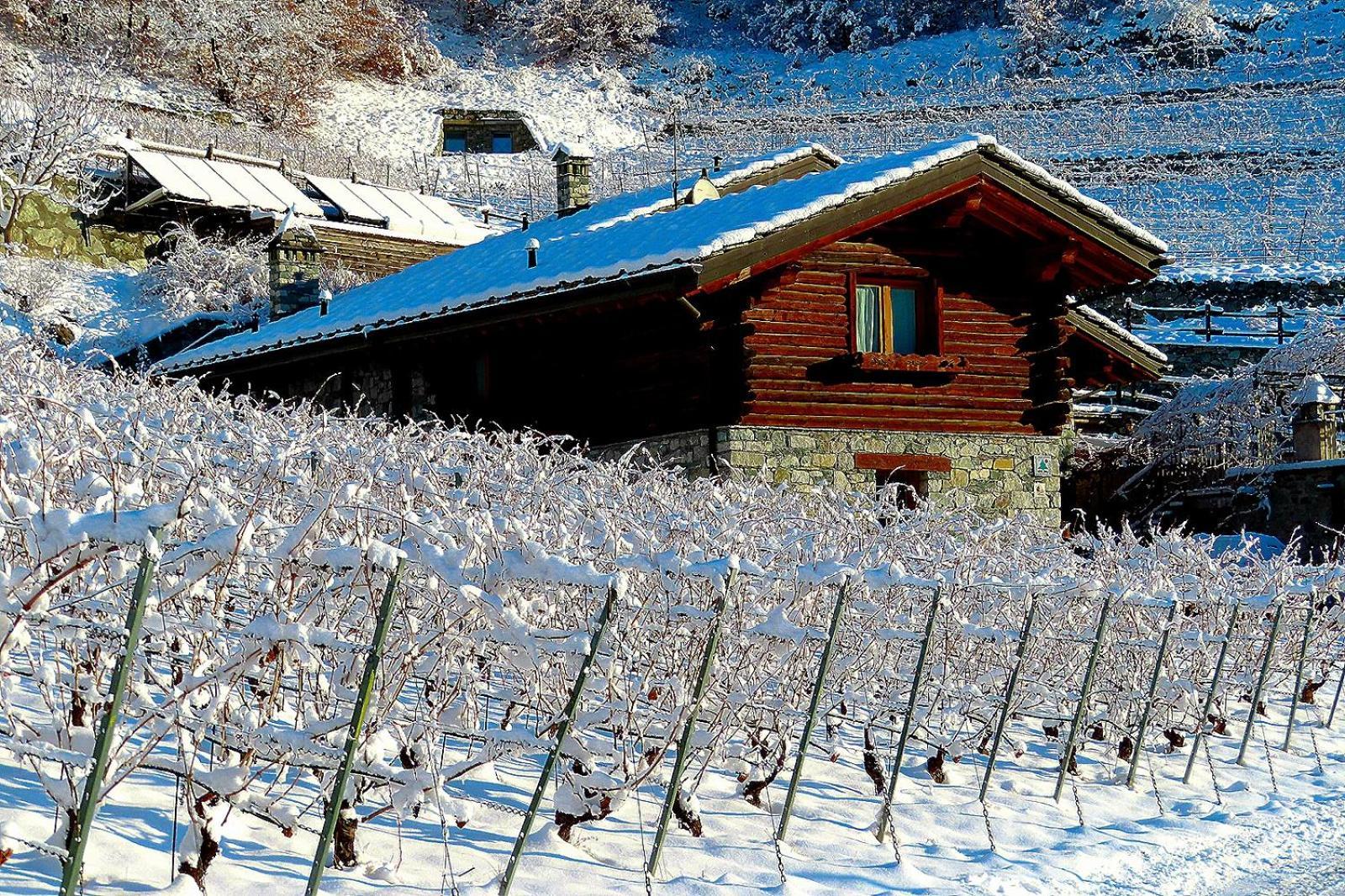 La Vrille - Chambres D'Hotes Verrayes Екстер'єр фото