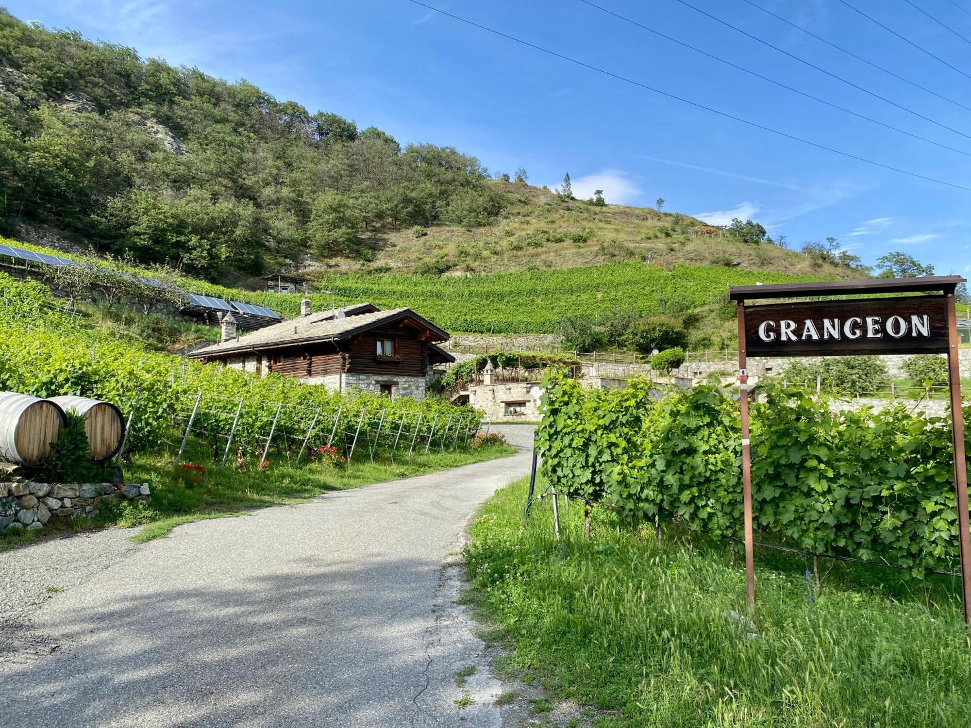 La Vrille - Chambres D'Hotes Verrayes Екстер'єр фото