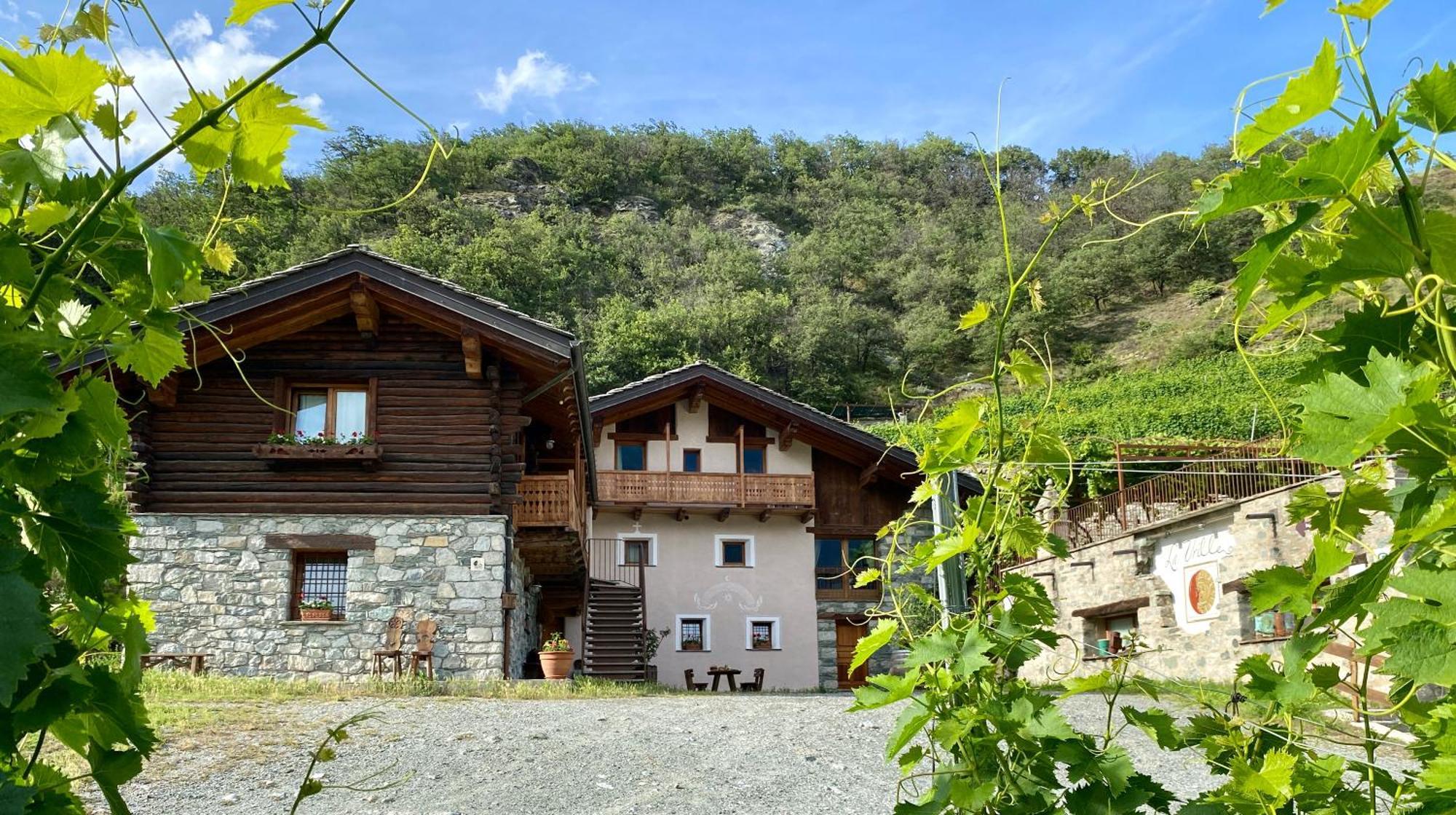 La Vrille - Chambres D'Hotes Verrayes Екстер'єр фото