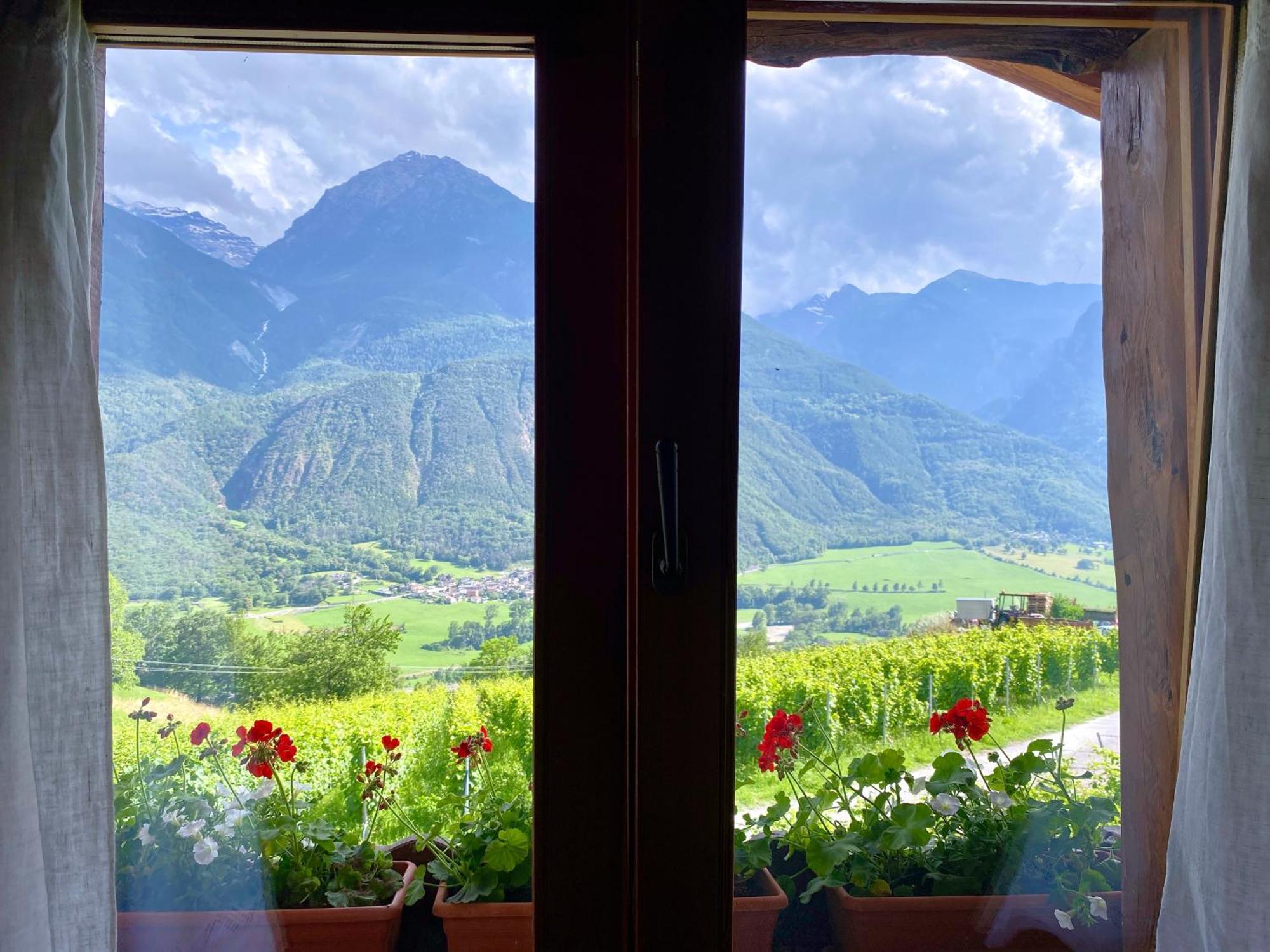 La Vrille - Chambres D'Hotes Verrayes Екстер'єр фото